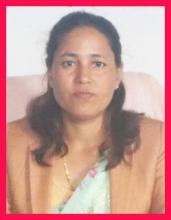 नगर प्रमुख